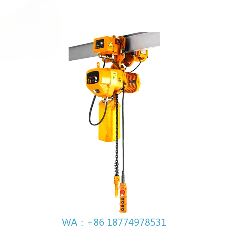 Hoist 50Hz 60Hz Hook Electric  - Electric Chain Hoist avis et prix