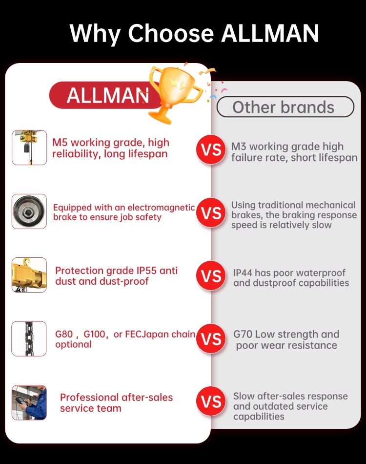 1 Ton 2Ton 3Ton 5 Ton M5 Elect - Electric Chain Hoist avis et prix