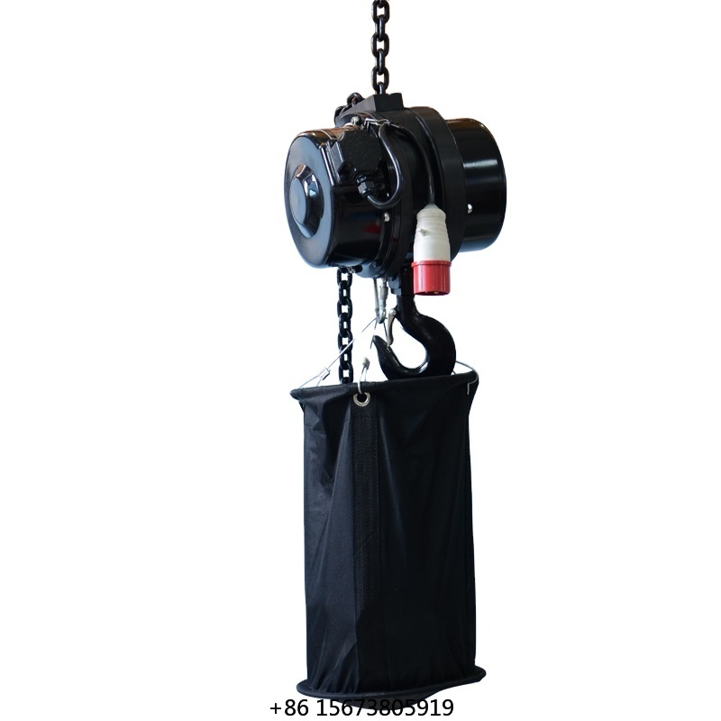 220V 500KG Lifting Crane Equip - Electric Chain Hoist avis et prix