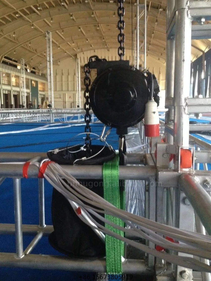 220V 500KG Lifting Crane Equip - Electric Chain Hoist avis et prix