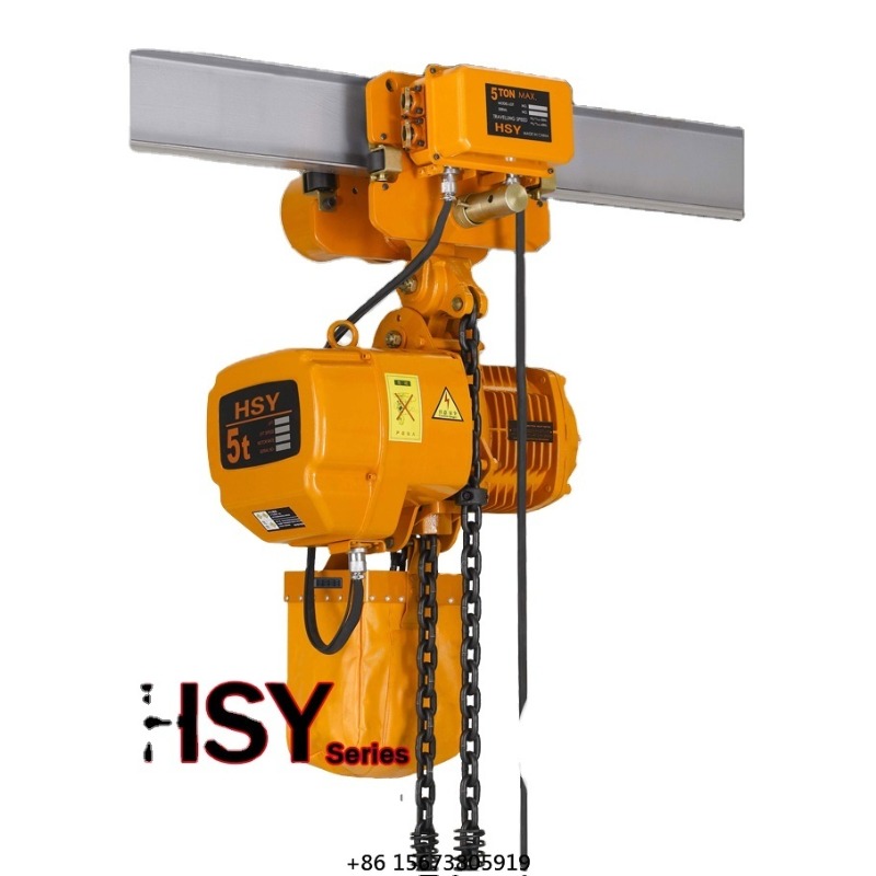 200kg 1000kg Philippines Price - Electric Chain Hoist avis et prix