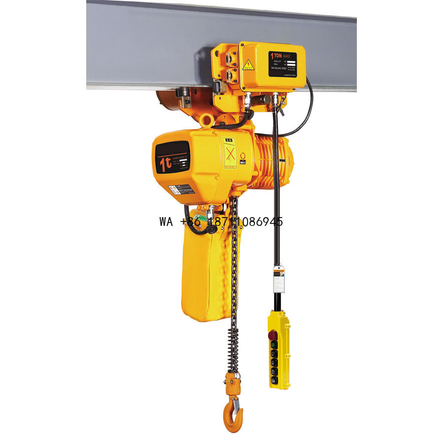 500kg Electric Chain Hoist wit - Electric Chain Hoist avis et prix