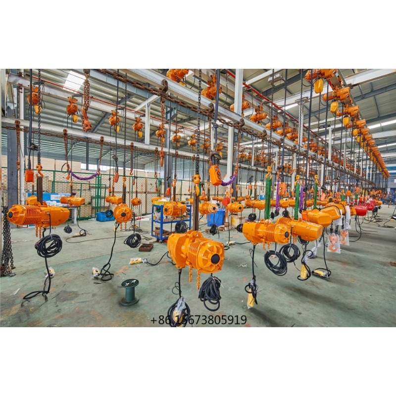 Wholesale Chinese Manufacture  - Electric Chain Hoist avis et prix
